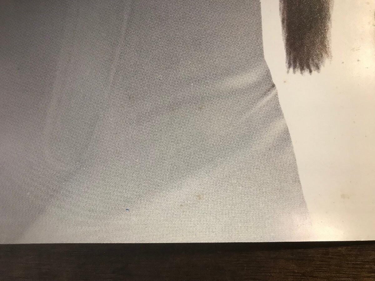 Picture 6 of 10