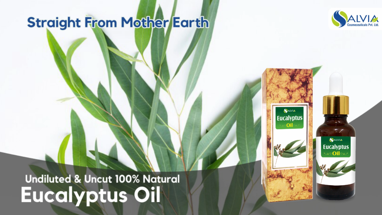 Aromatherapy Oil 100% Pure Eucalyptus Essential Oil (Eucalyptus Globulus) - Organic, 10ml To 5000ml Sizes Eucalyptus Oil Organic - Foto 8