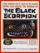 9828.Decoration Poster.Room wall design.Retro B movie film The Black Scorpion