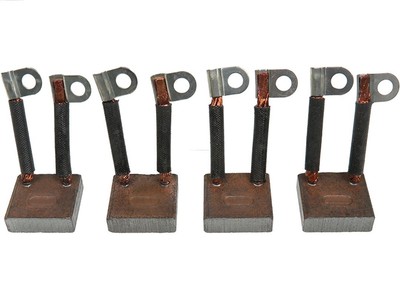 AS-PL BSX100B Carbon Brush, starter