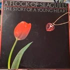 A Flock of Seagulls The Story of a Young Heart Vinyl Jive New Wave 1st pressing