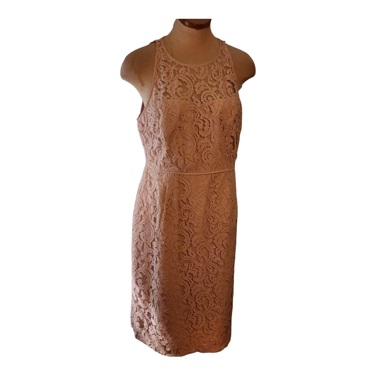 J crew lace dress sales