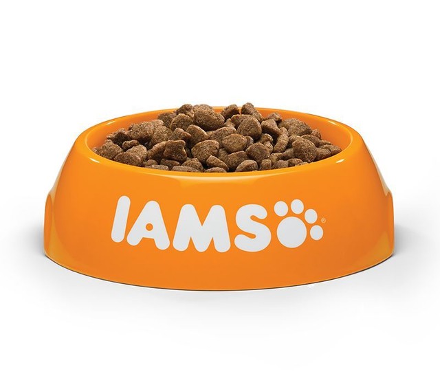 iams 10kg cat food