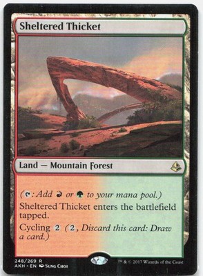 Sheltered Thicket 248 Rare Amonkhet Magic: The Gathering NM/M