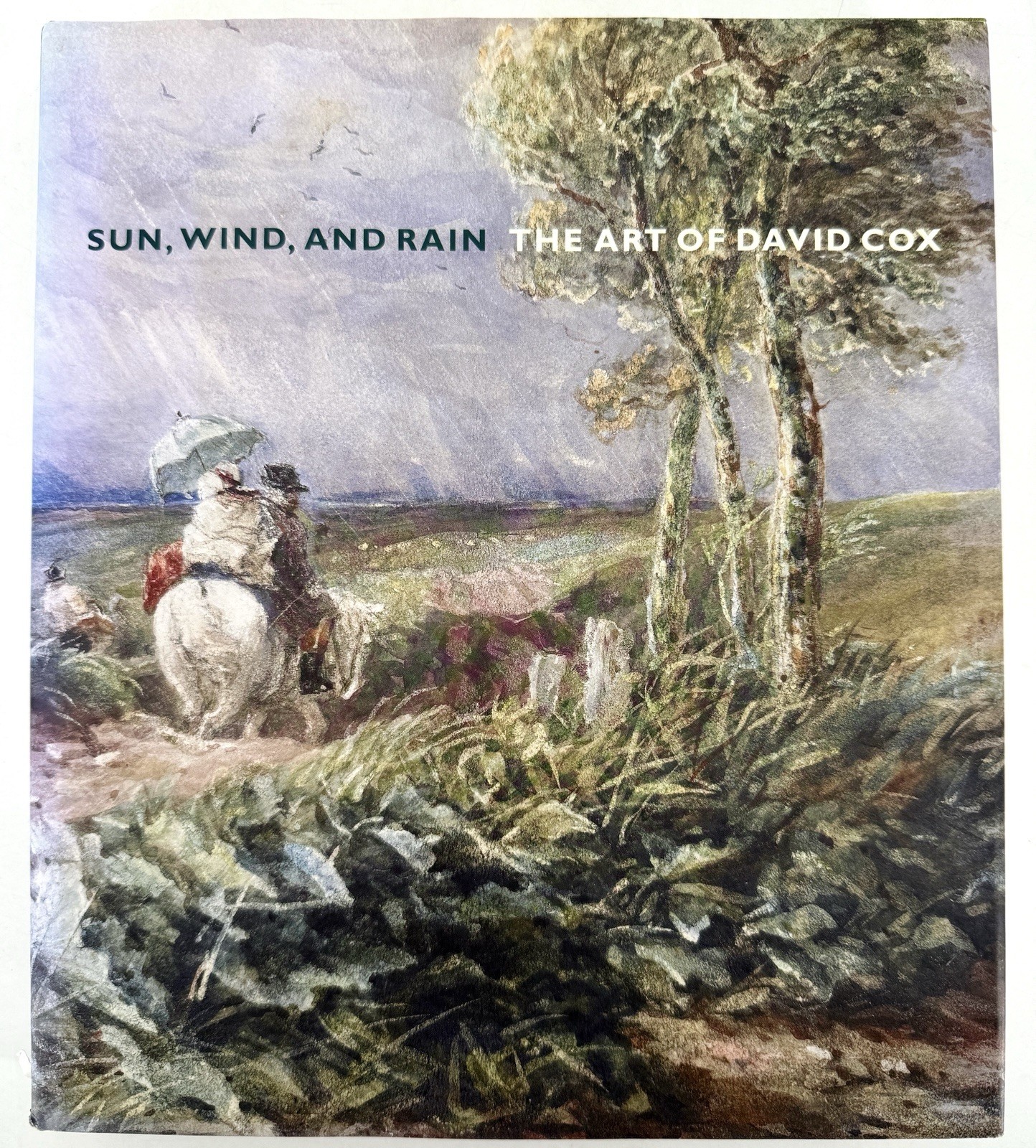 Sun, Wind, and Rain : The Art of David Cox by Scott Wilcox (2008, Hardcover)