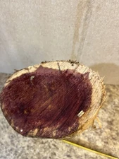 Eastern Red Cedar Log Wood Bandsaw Box Material Lath Turning Wood 12'' x 6''