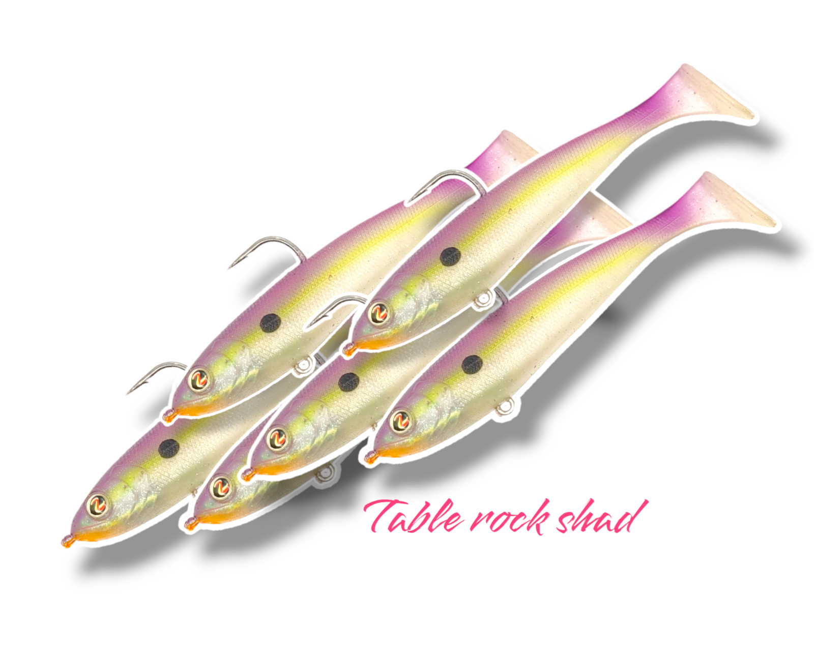 TABLE ROCK SHAD