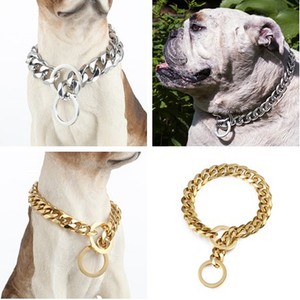 chain for pitbull