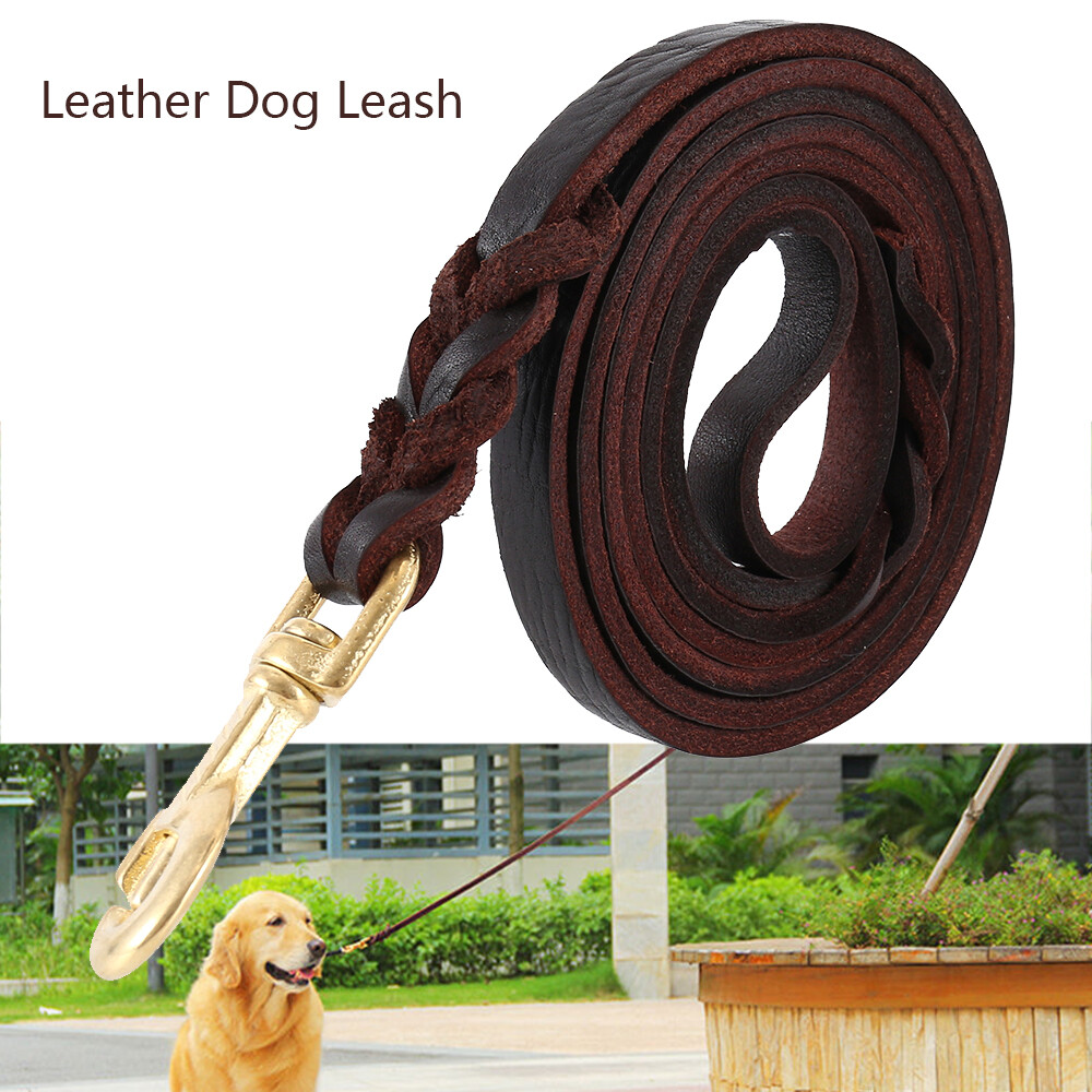best chew proof retractable dog leash