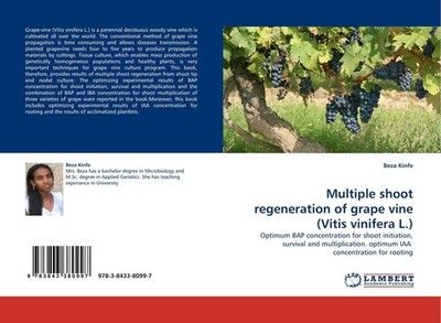 Multiple shoot regeneration of grape vine (Vitis vinifera L.) Beza Kinfe