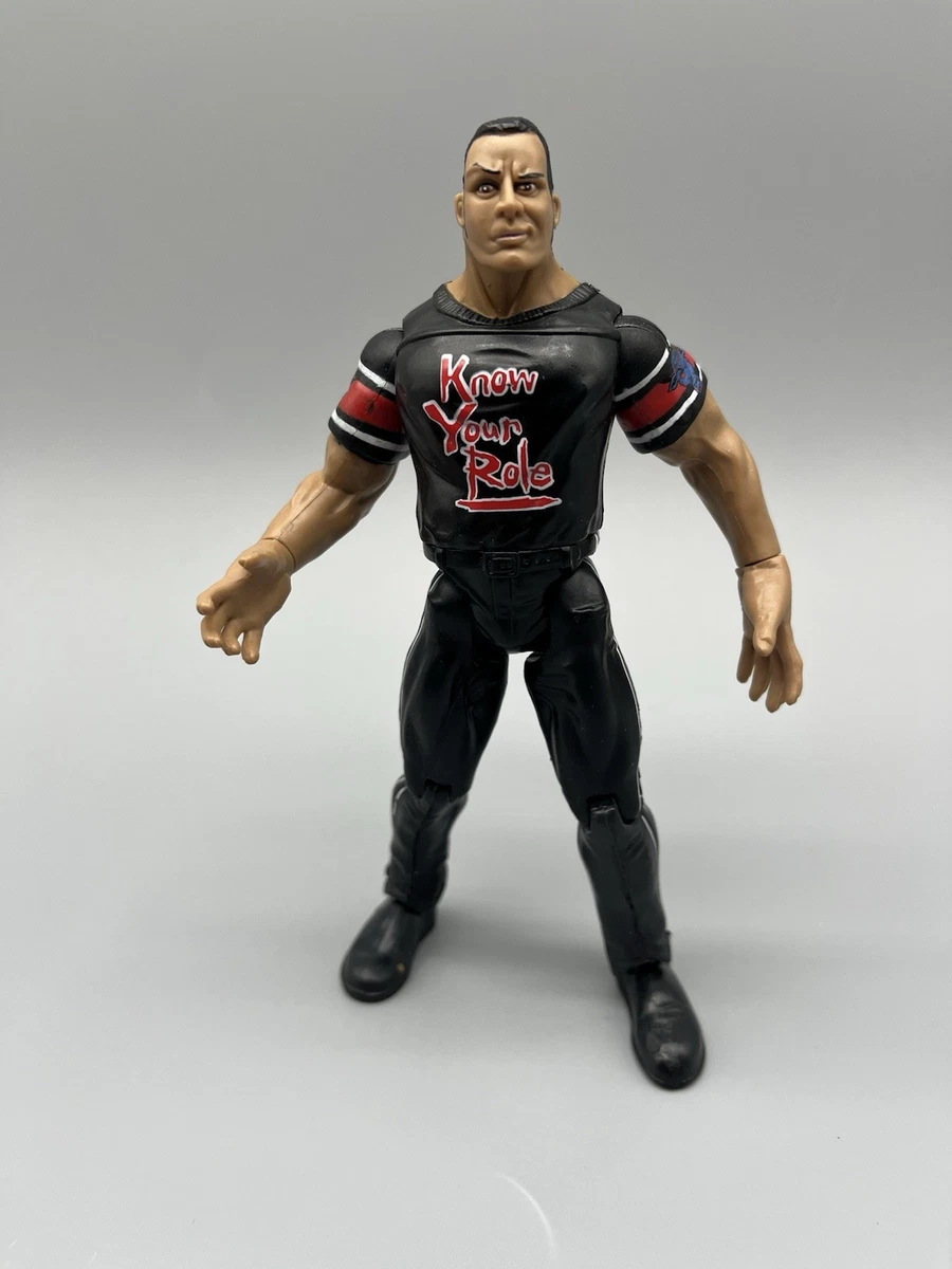 激レア】WWF タイタントロン・ライブ シリーズ2 ザ・ロック フィギュア Wwf Titan Tron Live for sale - eBay
