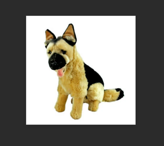 Bocchetta dogs hot sale