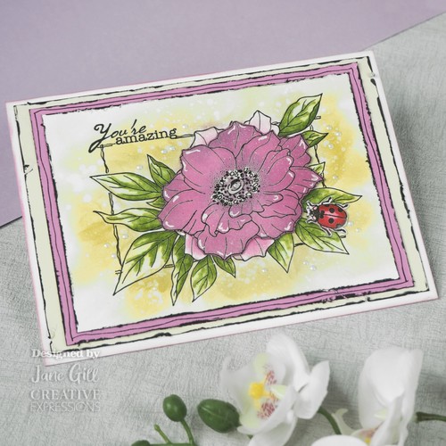Woodware Floral Clear Stamps by Jane Gill Creative Expression eBay