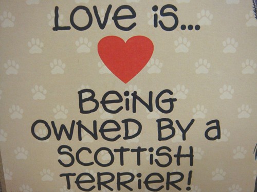 "LOVE IS BEING OWNED BY A SCOTTISH TERRIER" Wooden Plaque - Picture 3 of 5