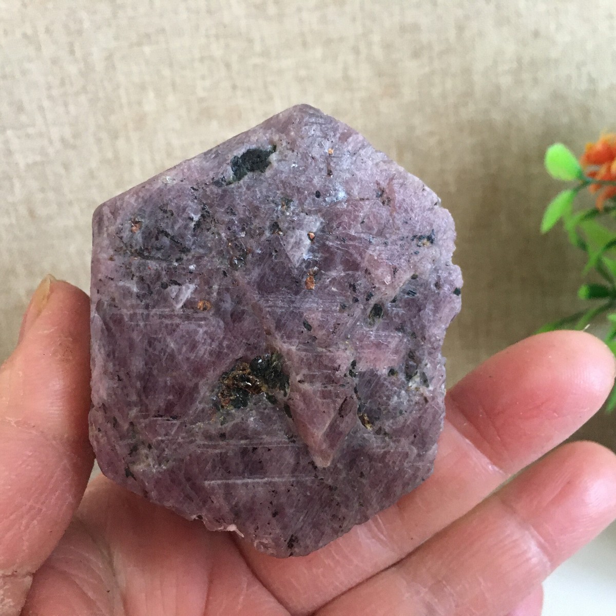 465g Natural Red Corundum Ruby Crystal Rough Mineral Specimen B793