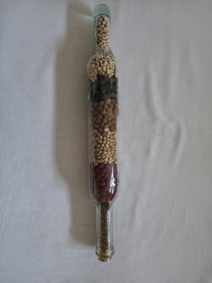 Vintage Deko Glas Nudelholz getrocknet Samen geschichtet Apotheker Küche Deko