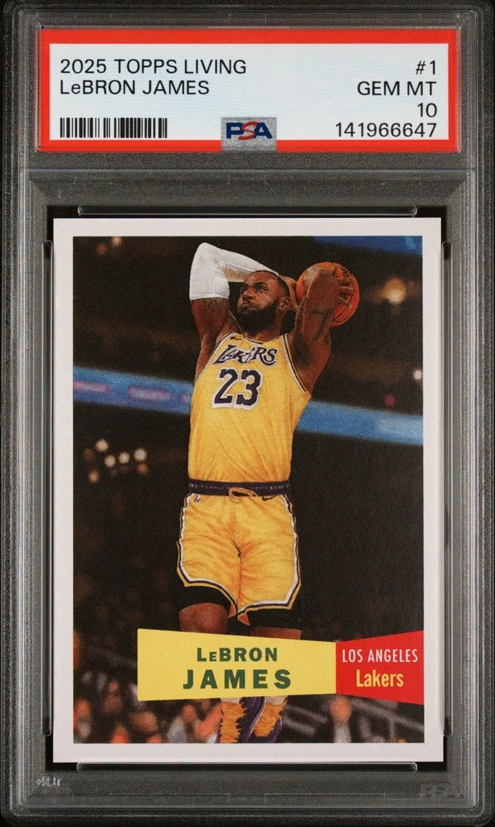 LeBron James Professional Sports Authenticator (PSA) Basketball