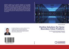 Dahmane Bouafia | Positive Solutions for Some Boundary Value Problems | Buch