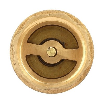 Brass One Way Female Thread Foot Valve Mesh Check Valve with Holes Strainer