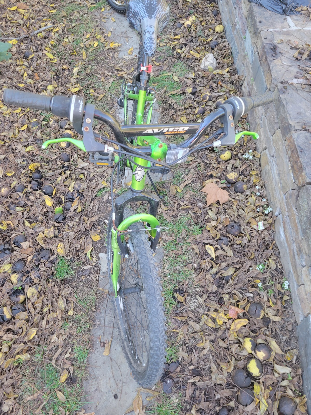 Revolution 24" Boys 18 Speed Mountian Bike