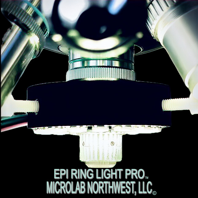 MICROLAB NORTHWEST EPI RING LIGHT PRO™