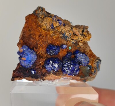   Azurit azurite Milpillas Sonora Mexico  