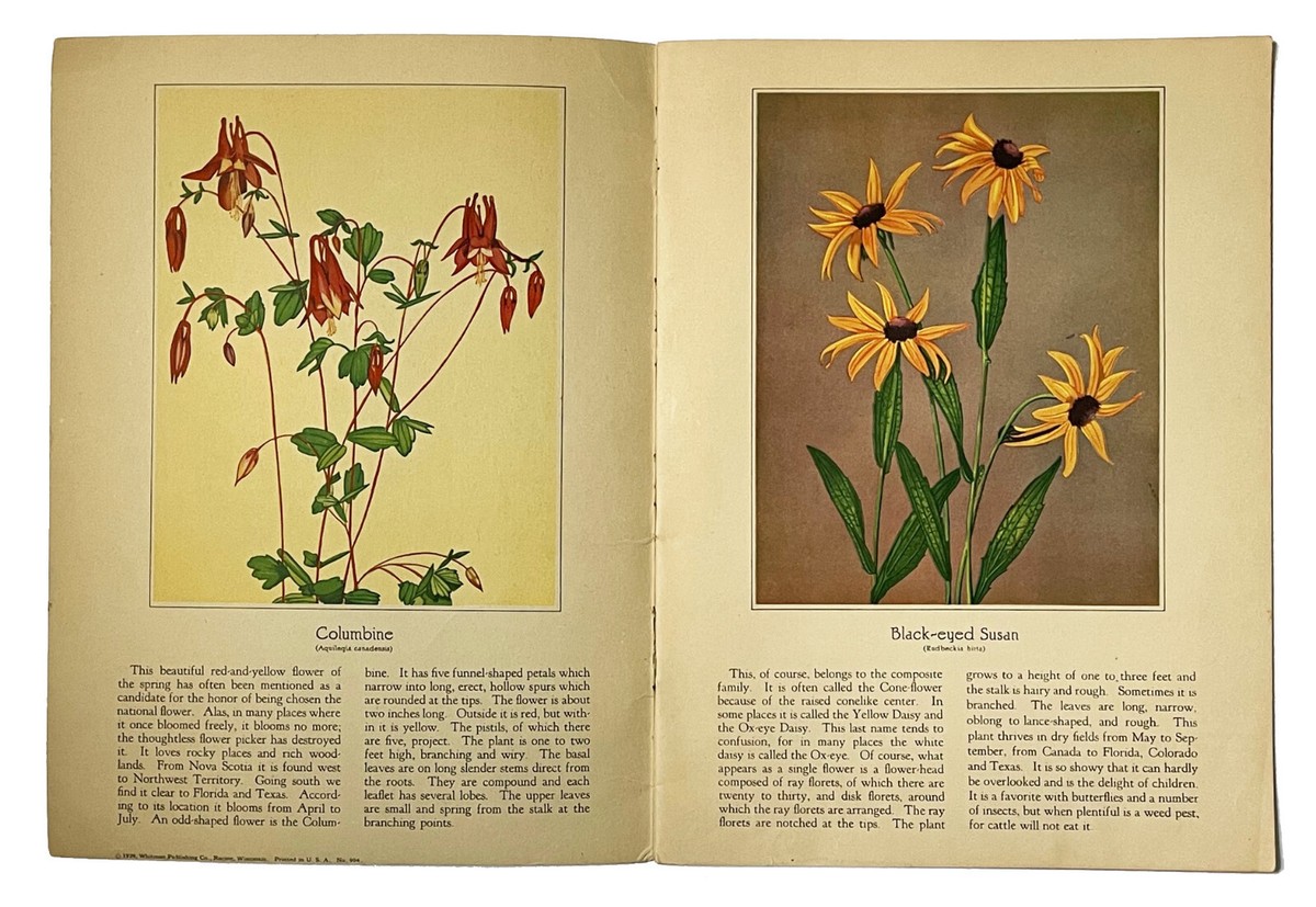WILD FLOWERS WE KNOW Thornton W. Burgess Paperbound 1929
