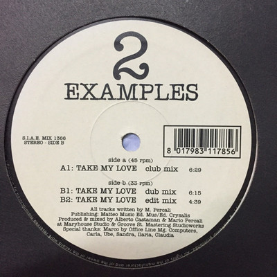 2 Examples - Take My Love - Italian 12''  Vinyl - 1997 - Discomagic Records