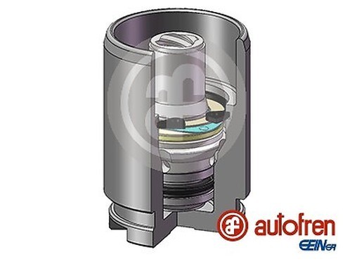 Autofren Seinsa D02578K Kolben FüR Bremssattel FüR Abarth, Acura, Alfa Romeo-image