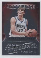 2012-13 Panini Brilliance Accolades Andrei Kirilenko #14 1x9
