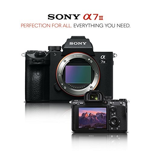 Sony Alpha a7 III Mirrorless Digital Camera International Version Body Only - Picture 6 of 6