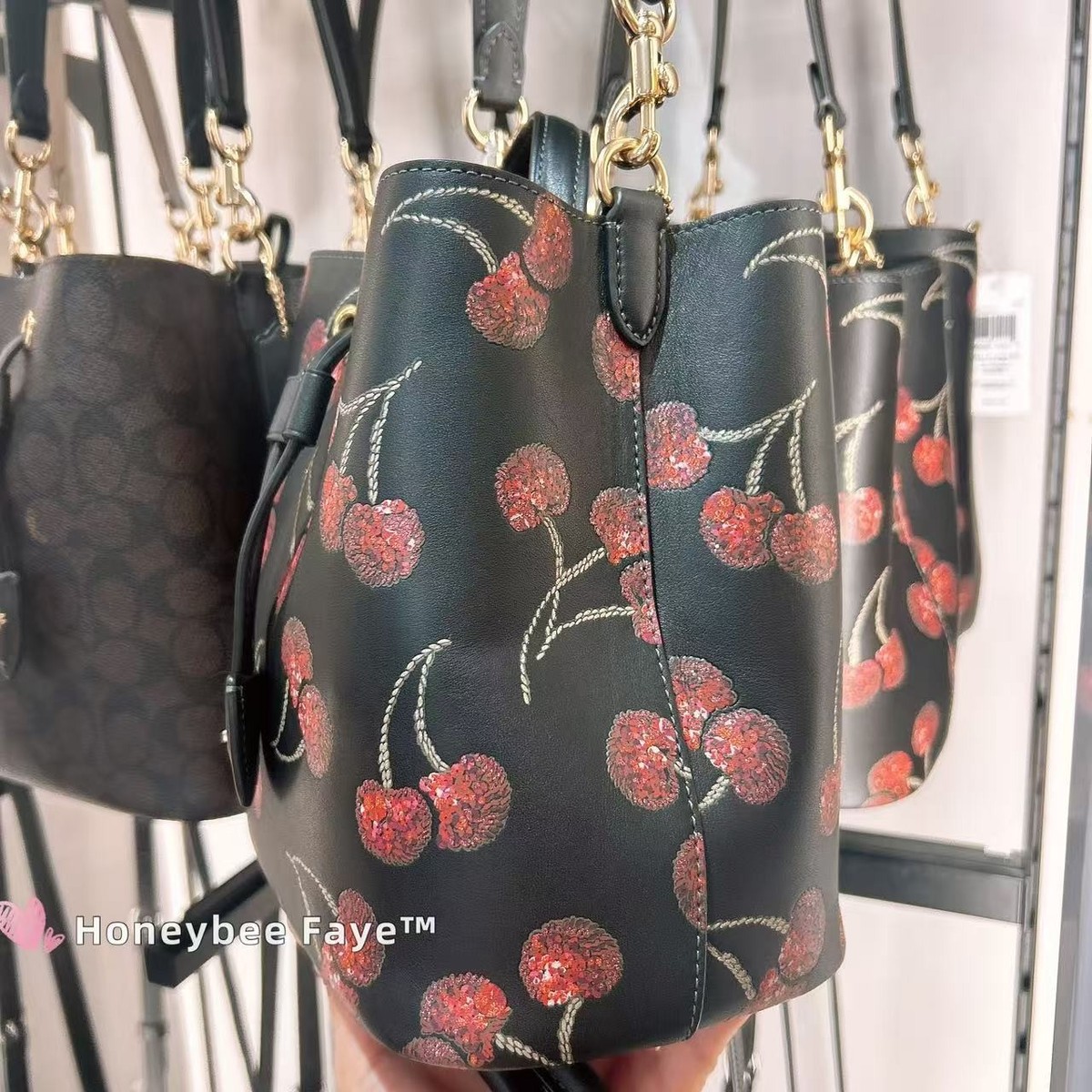 Nwt Coach Rowan Bucket Bag With Cherry Print CCZ17 🍒 | eBay
