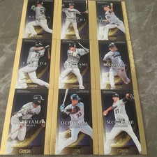 Tokyo Yakult Swallows BBM Card Tetsuto Yamada Munetaka Murakami Hideki New