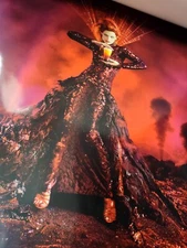 2012 Campari Calendar