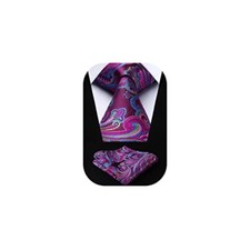 Ties for Men Paisley Tie and 8.5cm / 3.4 inches in Width A12-hot Pink Blue