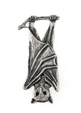 Signed Native American H M Coonsis 925 Sterling Silver Fruit Bat Brooch Pin