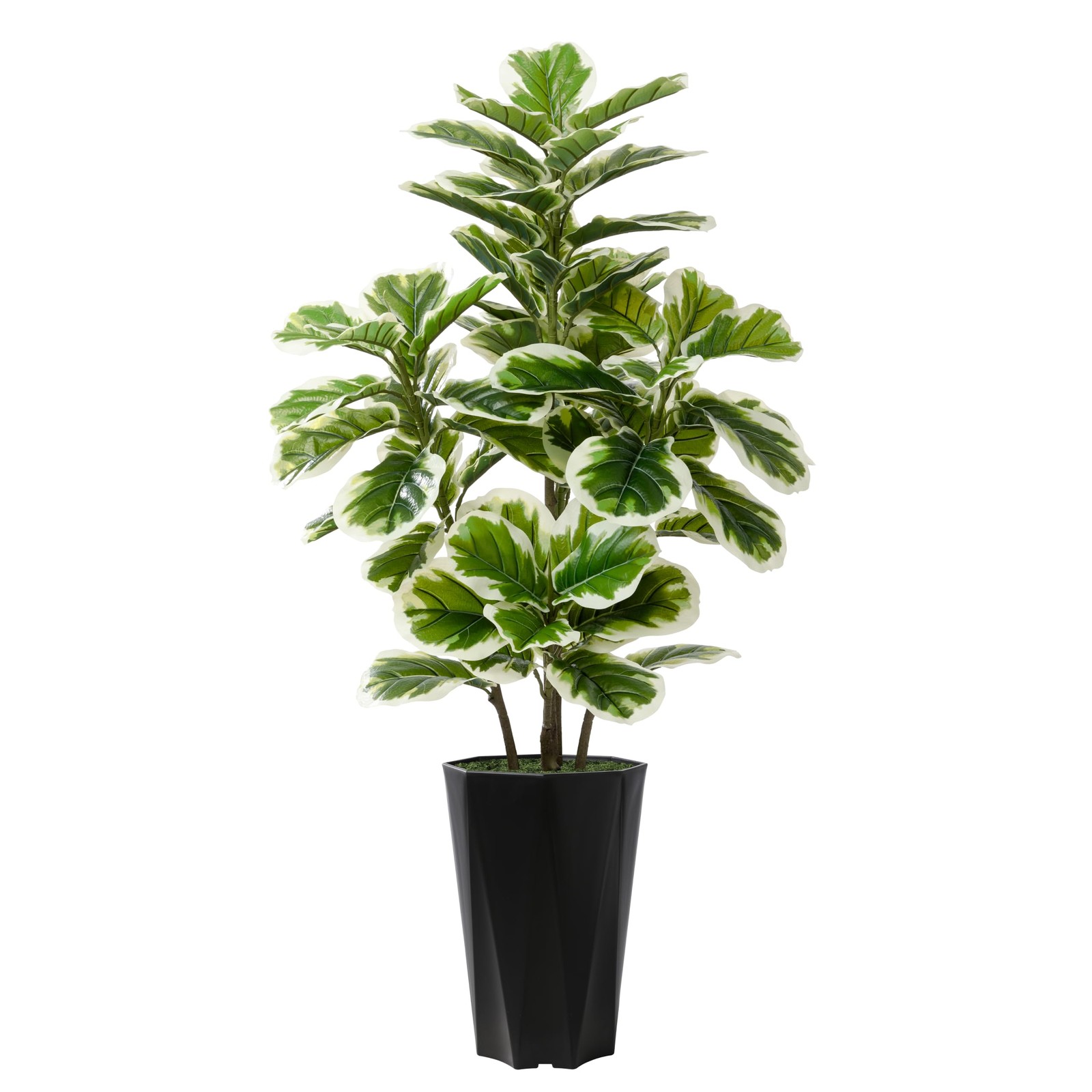 Artificial Fiddle Leaf Fig Tree 5FT - Faux Rubber Plant with Black Diamond Pl...