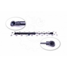 Verin de hayon / de capot Smart CITY-COUPE