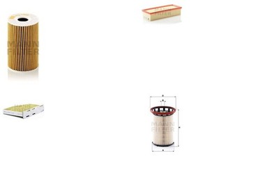 MANN-FILTER Inspektionspaket Filtersatz XL mit fungizider Wirkung Filtereinsatz
