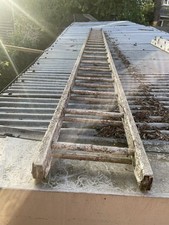 Double Ladder 11 metres Long