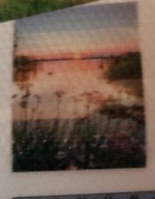 5D DIY Full Round Drill Diamond Painting Sunrise in the Marsh 30x40cm MosaicArt