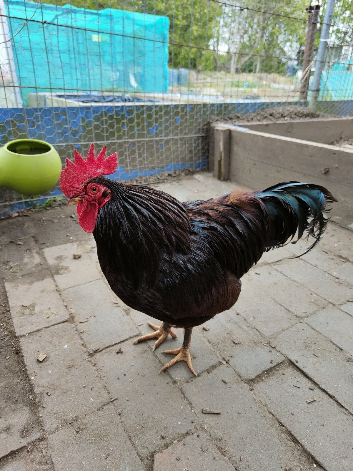 Picture 18 of 24