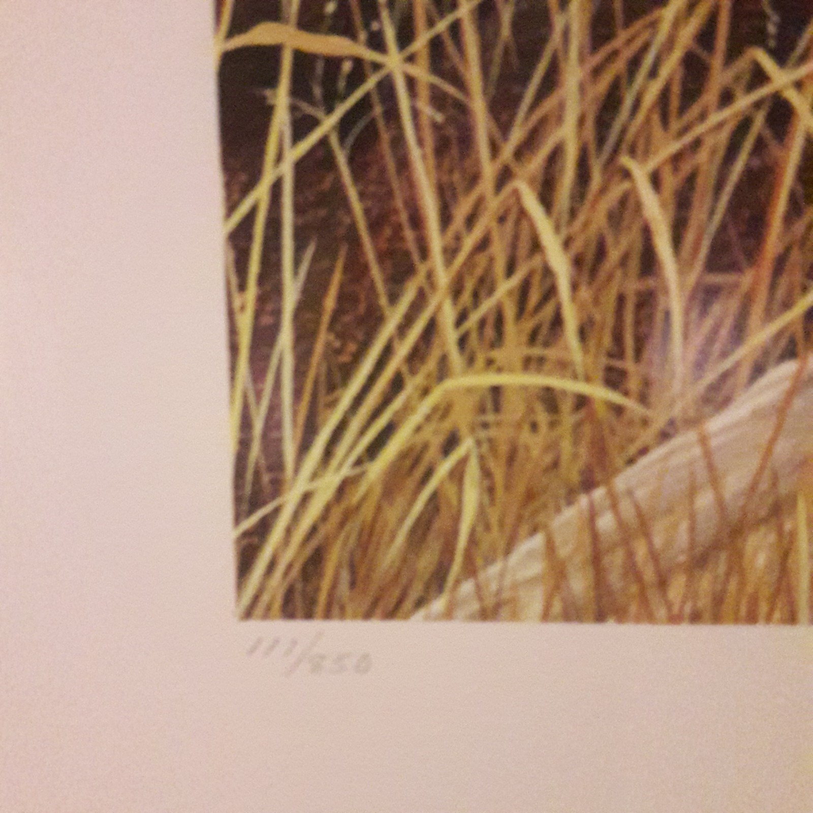 Picture 4 of 6