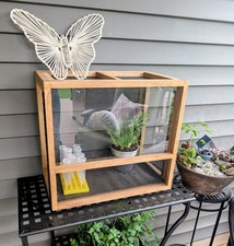 Large Monarch And Swallowtail Butterfly Habitat Cage - Custom Built To Order 