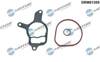 1X Dr.Motor Automotive DRM01309 Dichtungssatz Unterdruckpumpe FüR VW Audi Cupra