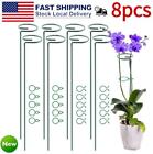 8pcs 40cm Garden Single Stem Support Stake Amaryllis Plant Cage Support Rings