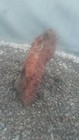 Picture 6 of 6