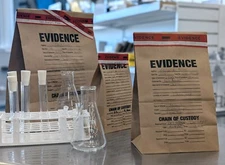 Paper Evidence Bag, Pack of 100 Small Medium Large