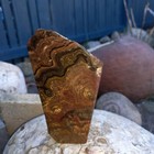 Foto 11 di 12