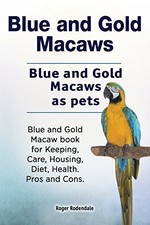 Blue and Gold Macaws. Blue and Gold ... by Rodendale, Roger Paperback / softback